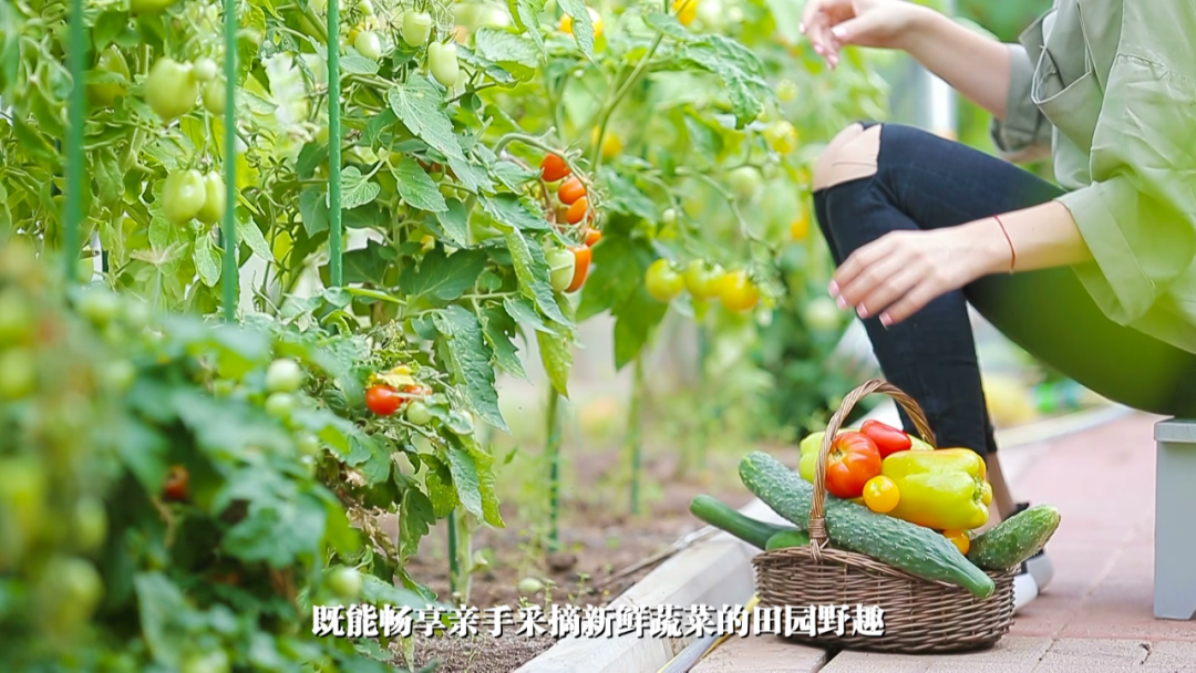 項(xiàng)目展示